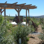 house and pergola