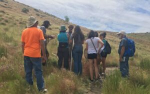 Volunteers learning to identify butterflies as part of our Nevada Butterfly Monitoring Network